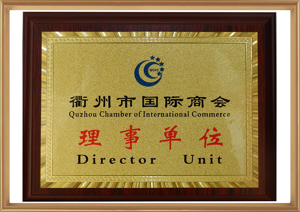 株洲市国际商会理事单元_d.jpg