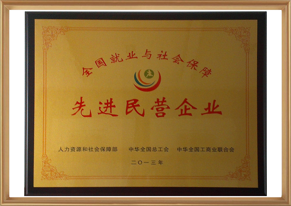 全国就业与社会保险先进民营企业（铜牌）_d.jpg