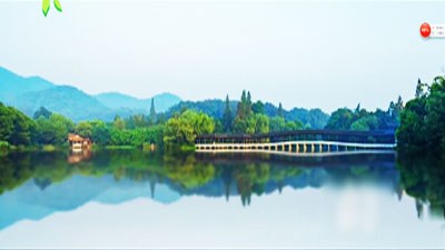 作品展示|BJL平台